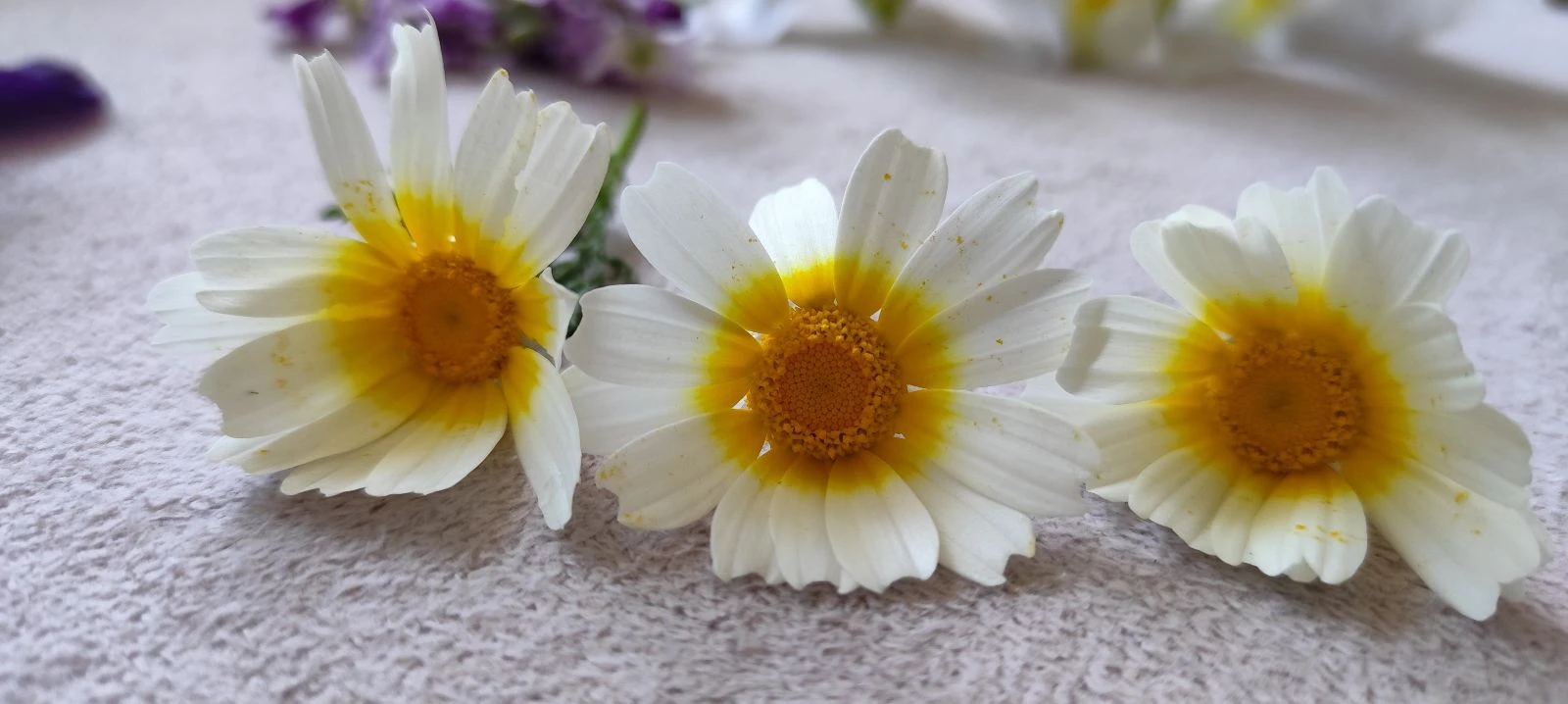 Handcrafted Daisy Earrings – photo 5